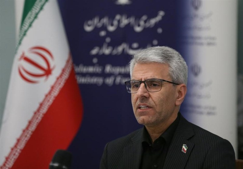 بقائی: حمله به نزدیکی بیمارستان اهواز یک جنایت جنگی بزدلانه است