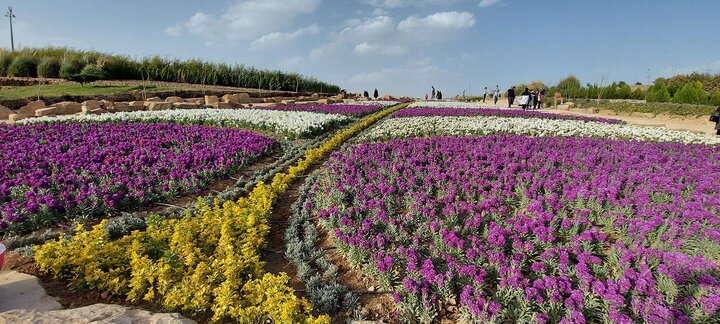 باغ گل‌ها مهرماه و همزمان با جشنواره گل‌های داوودی افتتاح می‌شود