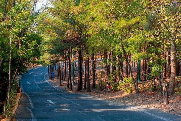 ساخت فاز اول بوستان بزرگ چهارباغ